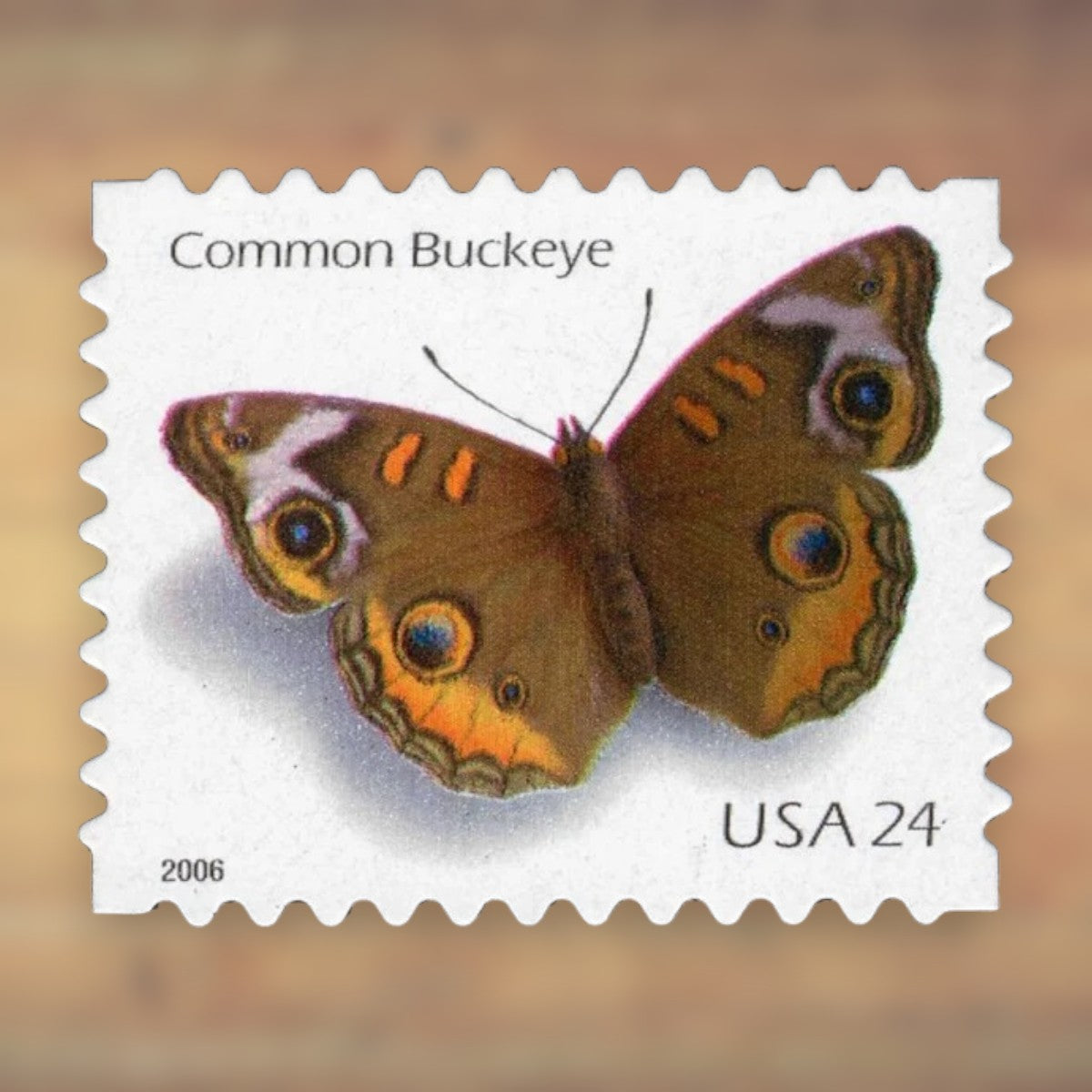 Common Buckeye Butterfly 24¢ Postage Stamps, 2006 Sheet – Additional Postage for Cards and Letters