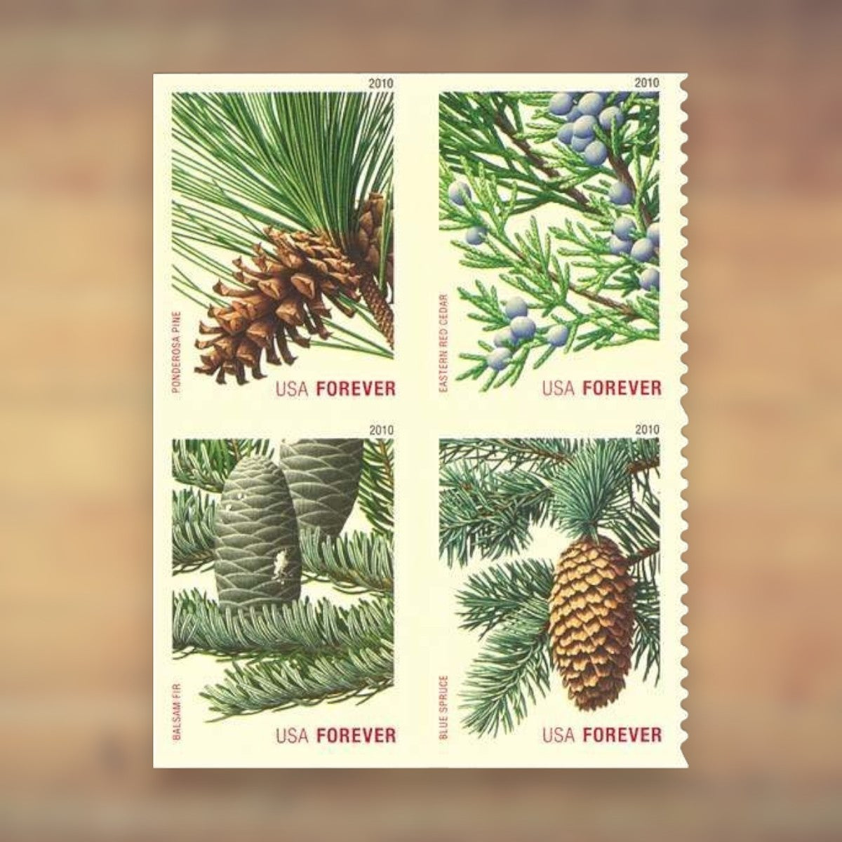 Holiday Evergreens Forever Stamps, 2010 Booklet – Holiday Cards and Letters