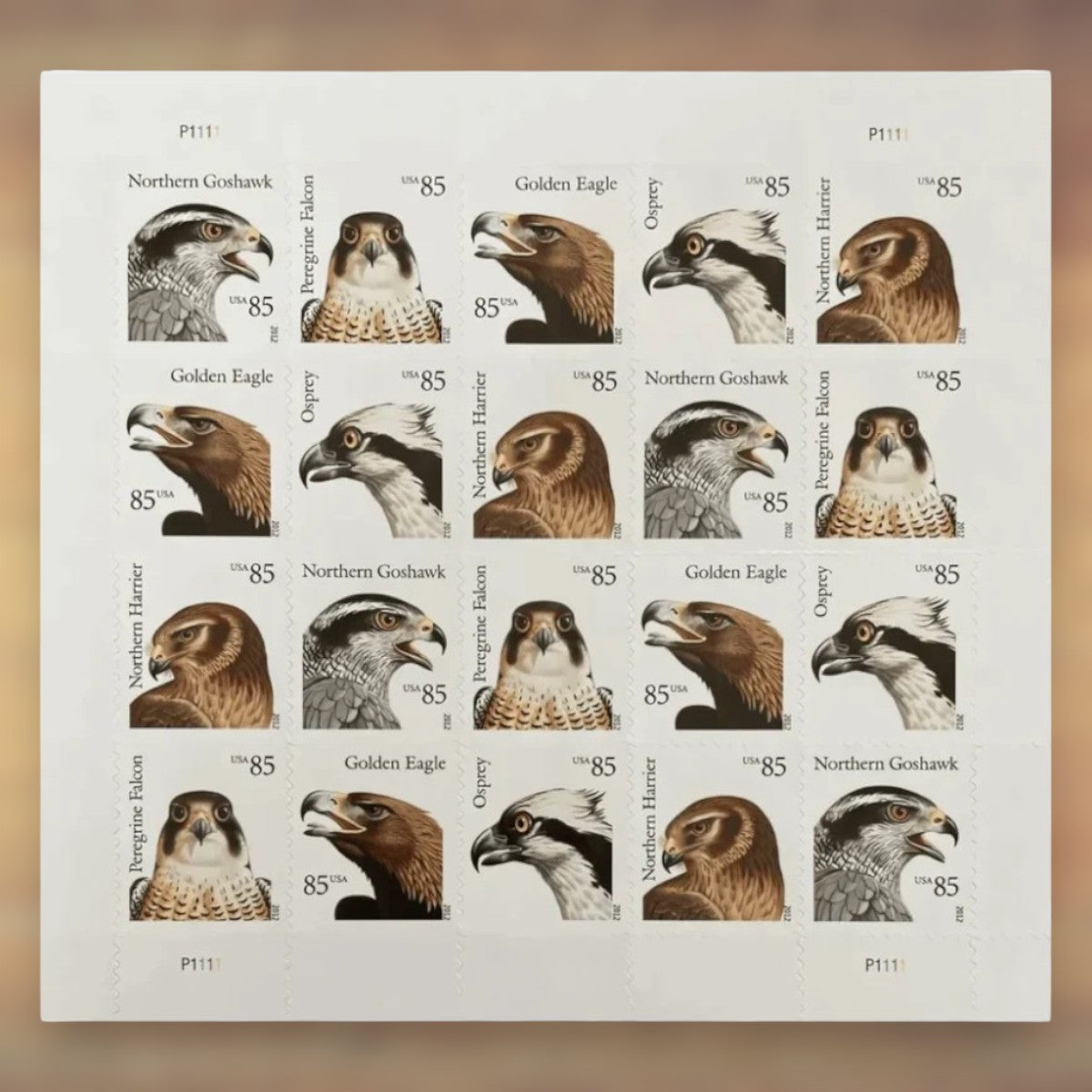 Birds of Prey 85¢ Postage Stamps, 2012 Sheet – Additional Postage for Cards and Letters