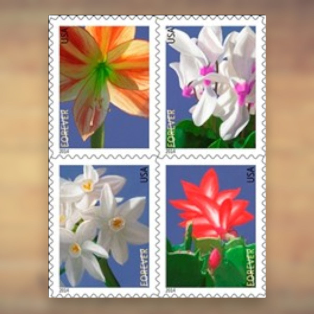 2014 Winter Flowers Forever Postage Stamps Booklet First-Class Postage