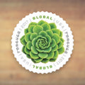 Green Succulent Global Forever Stamps, 2017 Sheet – International Mail