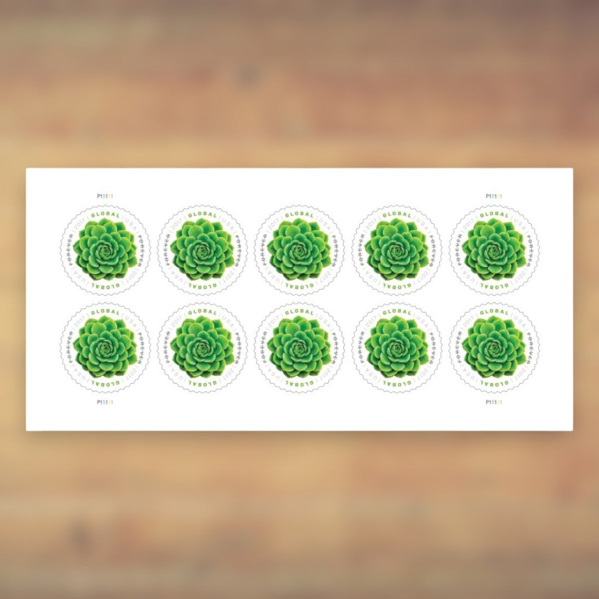 Green Succulent Global Forever Stamps, 2017 Sheet – International Mail