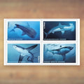 Sharks Forever Stamps, 2017 Sheet – Everyday Cards and Letters