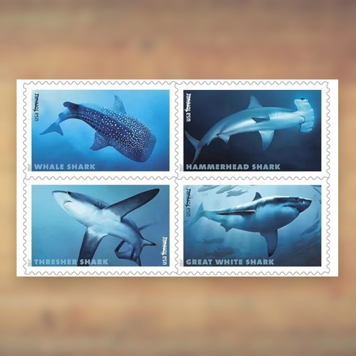 Sharks Forever Stamps, 2017 Sheet – Everyday Cards and Letters