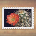 Cactus Flowers Forever Stamps, 2019 Booklet – Greeting Cards and Letters