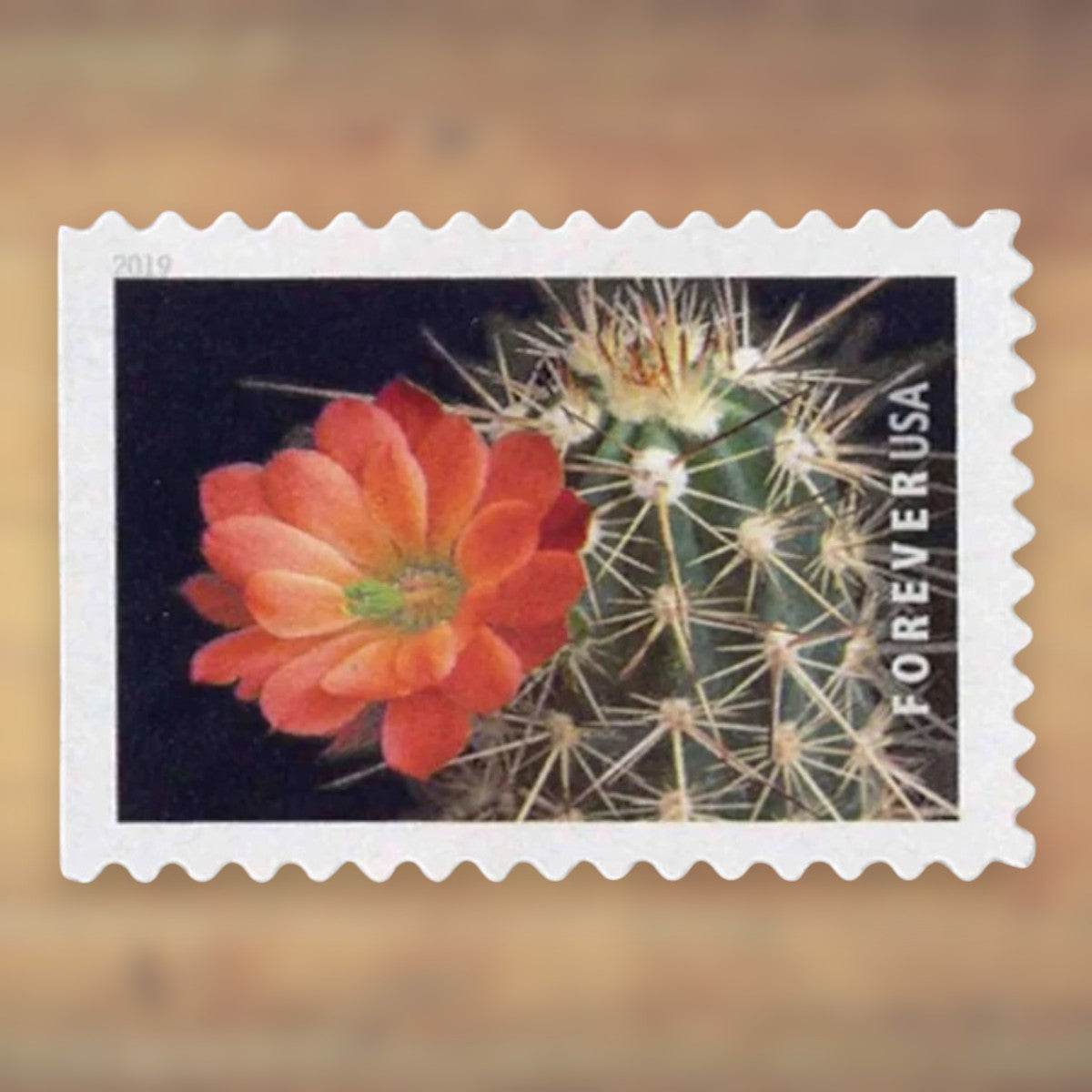 Cactus Flowers Forever Stamps, 2019 Booklet – Greeting Cards and Letters
