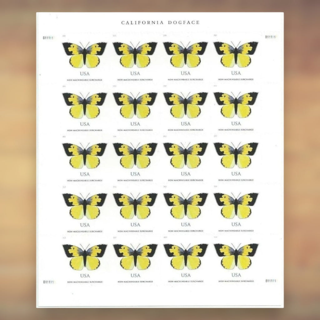 California Dogface Butterfly Non-Machineable Surcharge Stamps, 2019 Sheet – Square Cards and Irregular Envelopes