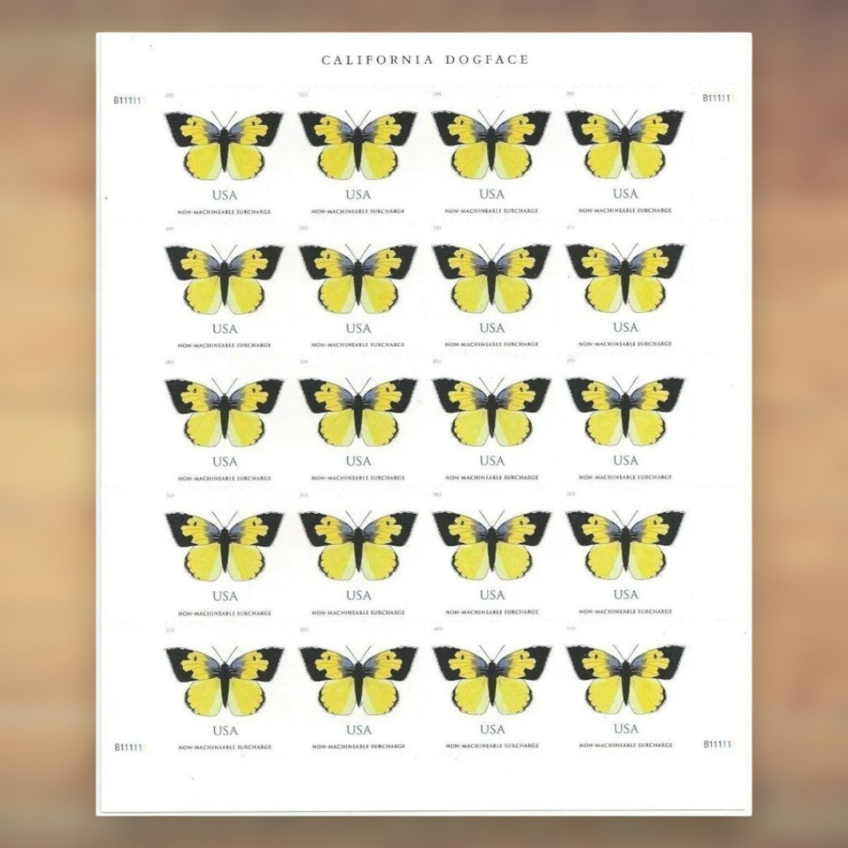 California Dogface Butterfly Non-Machineable Surcharge Stamps, 2019 Sheet – Square Cards and Irregular Envelopes