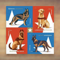 Military Working Dogs Forever Stamps, 2019 Booklet – Military Appreciation Cards and Letters
