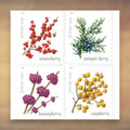 Winter Berries Forever Stamps, 2019 Booklet – Holiday Cards and Letters