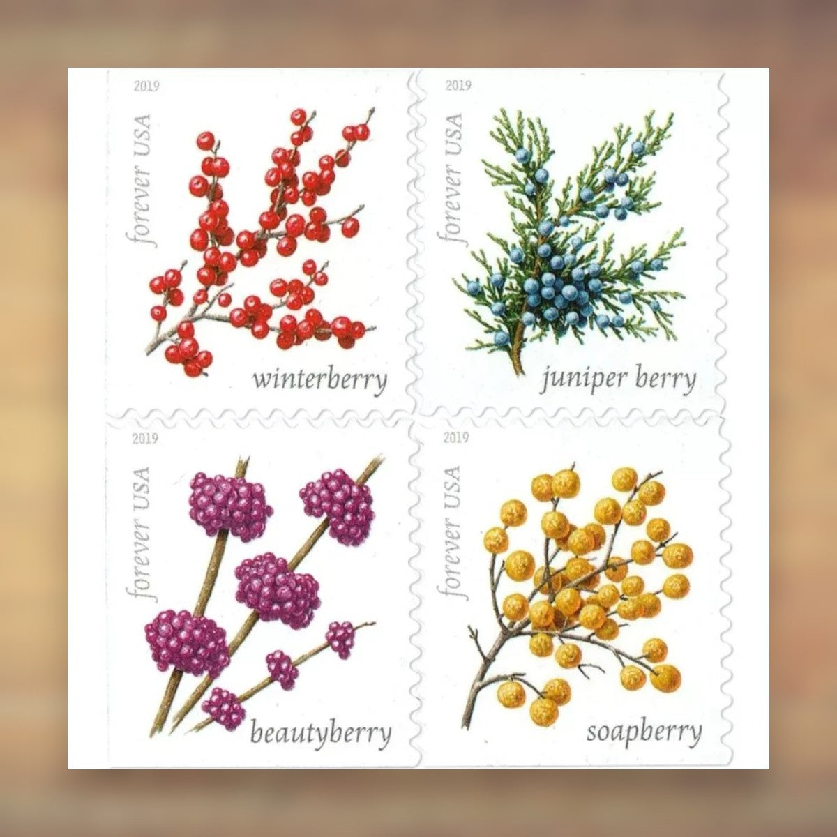 Winter Berries Forever Stamps, 2019 Booklet – Holiday Cards and Letters