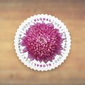 Chrysanthemum Global Forever Stamps, 2020 Sheet – International Mail