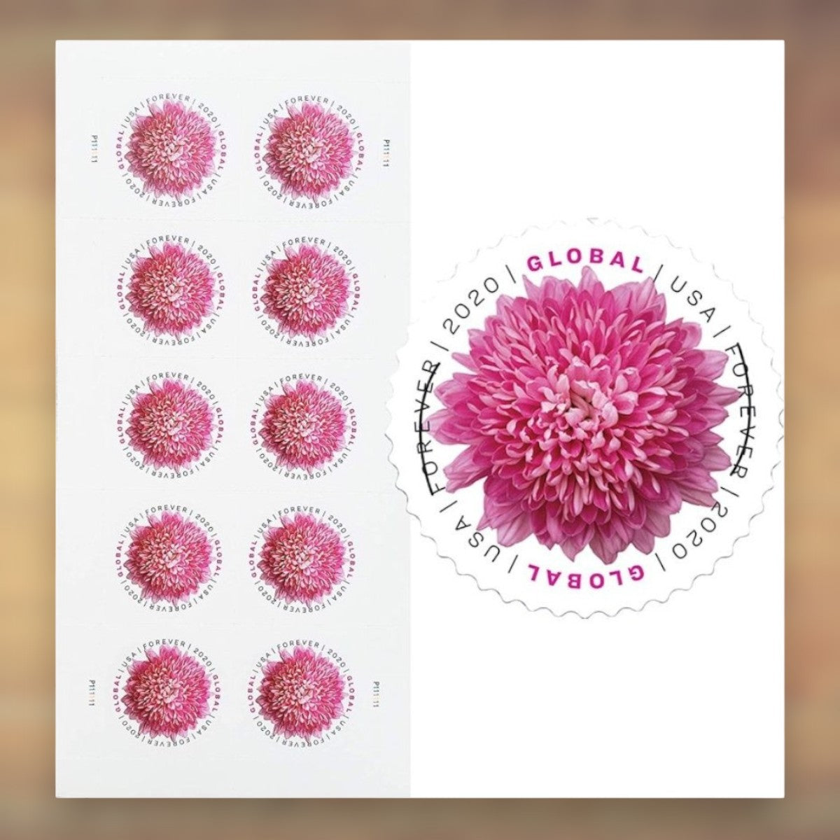 Chrysanthemum Global Forever Stamps, 2020 Sheet – International Mail