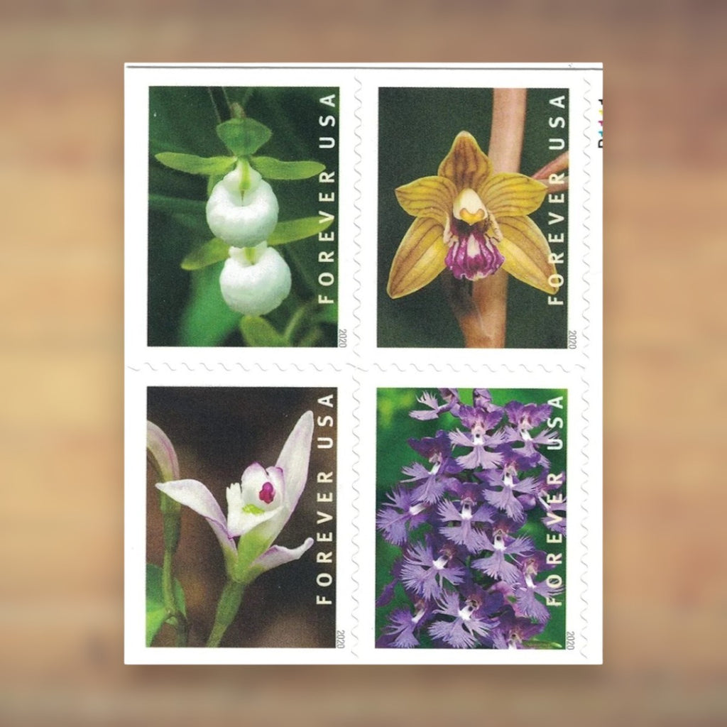 Wild Orchids Forever Stamps, 2020 Booklet – Greeting Cards and Letters