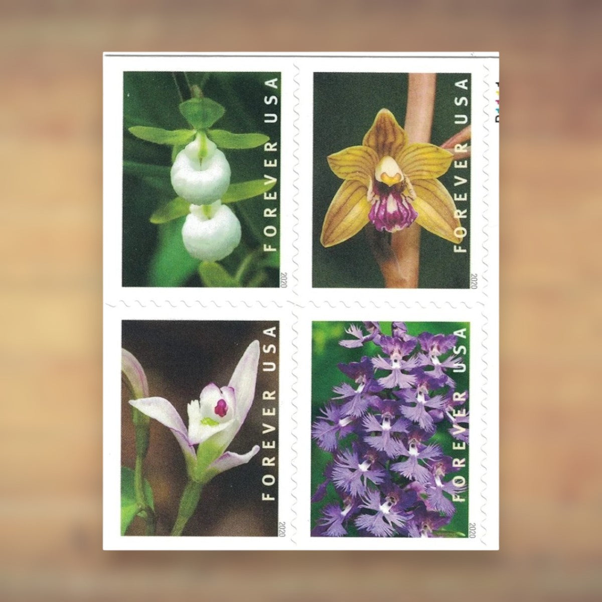 Wild Orchids Forever Stamps, 2020 Booklet – Greeting Cards and Letters