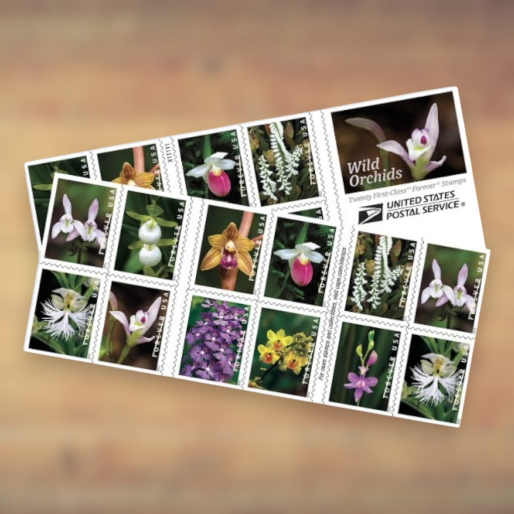 Wild Orchids Forever Stamps, 2020 Booklet – Greeting Cards and Letters