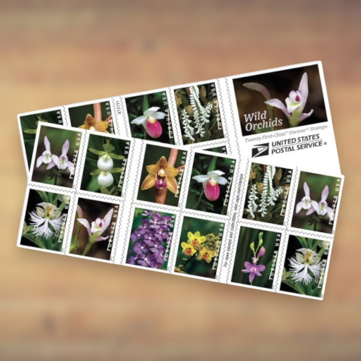 Wild Orchids Forever Stamps, 2020 Booklet – Greeting Cards and Letters