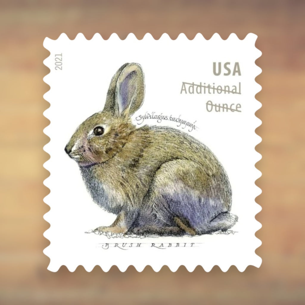Brush Rabbit Additional Ounce Stamps, 2021 Sheet – Additional Postage for Letters Over 1 Ounce