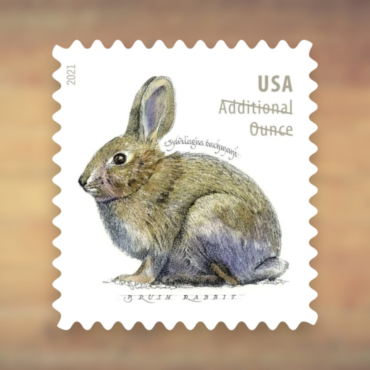 Brush Rabbit Additional Ounce Stamps, 2021 Sheet – Additional Postage for Letters Over 1 Ounce