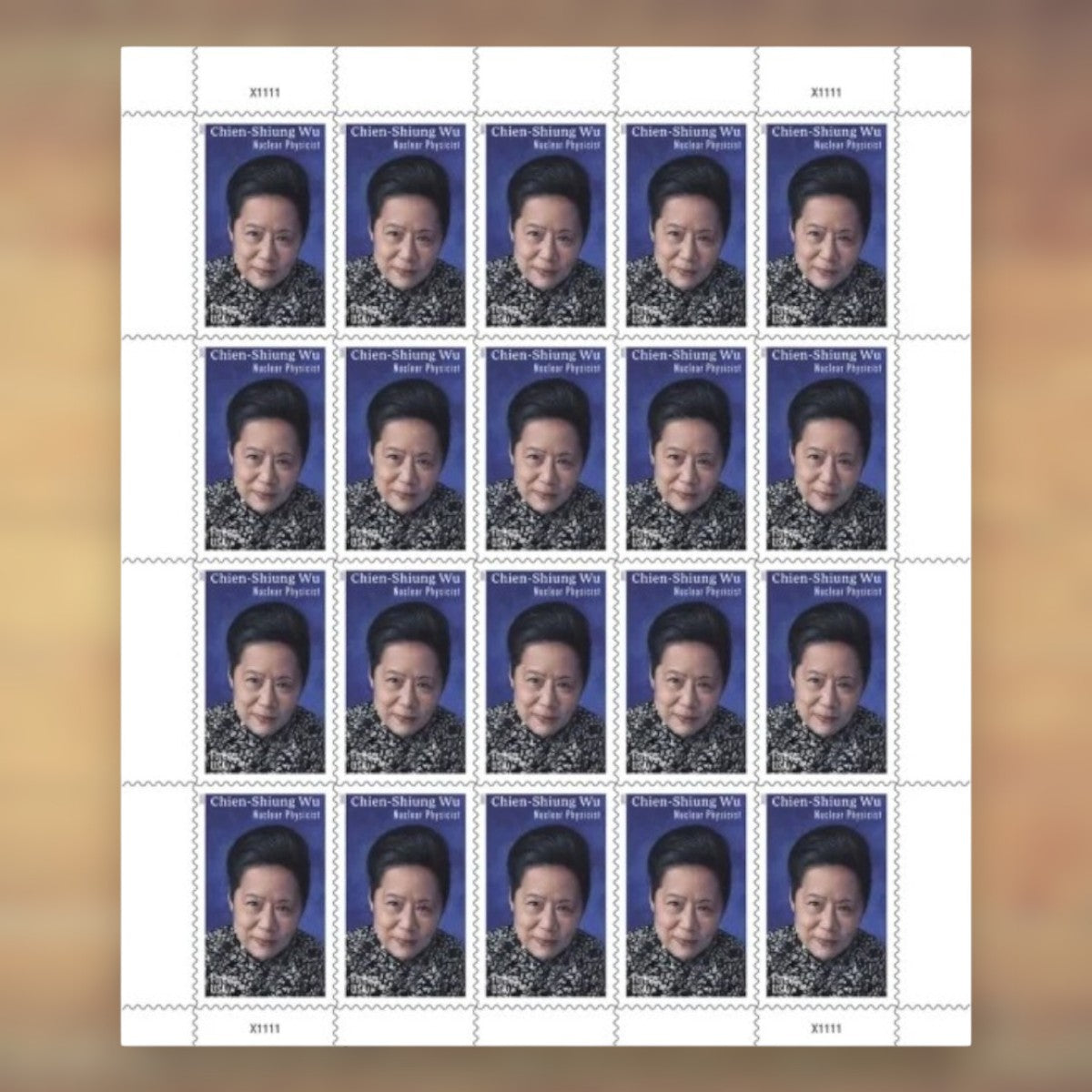 Chien-Shiung Wu Forever Stamps, 2021 Sheet – Cards, Letters and Stamp Collecting