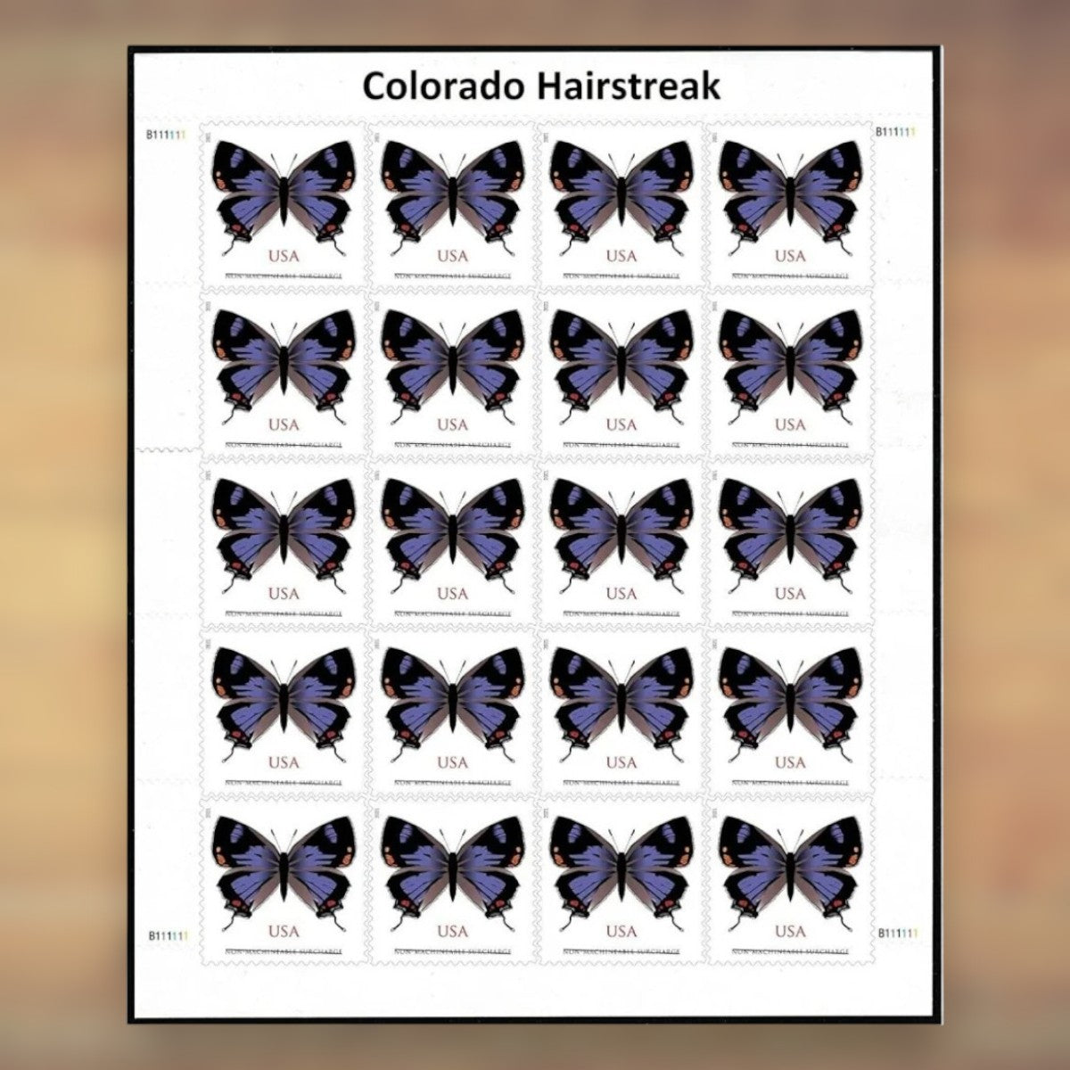 Colorado Hairstreak Non-Machineable Surcharge Stamps, 2021 Sheet – Square Cards and Irregular Envelopes