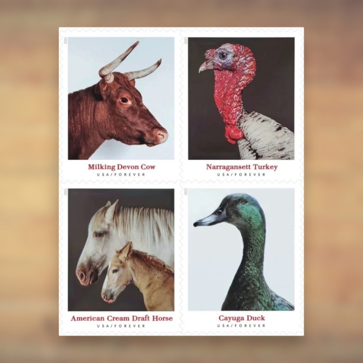 Heritage Breeds Forever Stamps, 2021 Sheet – Cards, Letters and Stamp Collecting