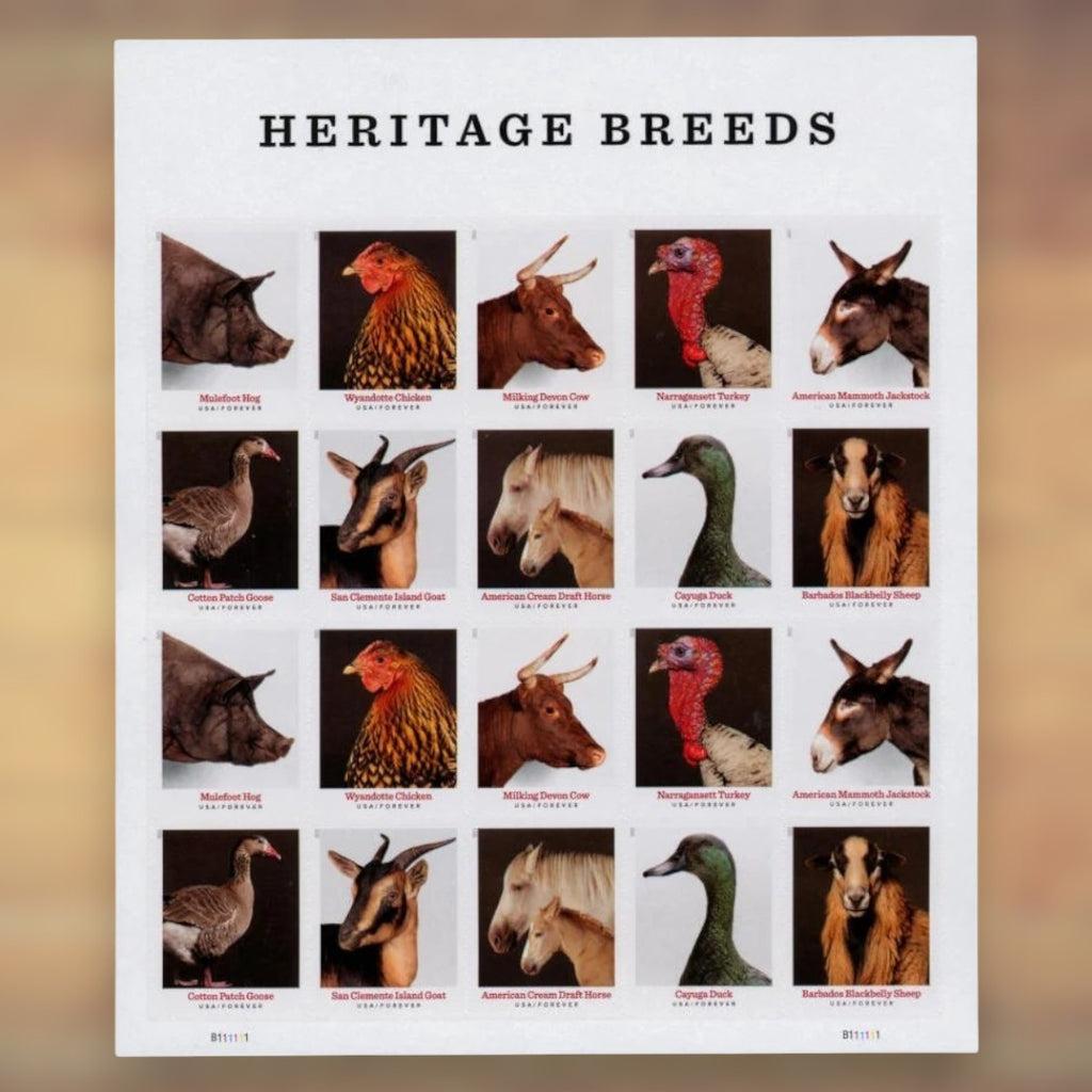 Heritage Breeds Forever Stamps, 2021 Sheet – Cards, Letters and Stamp Collecting