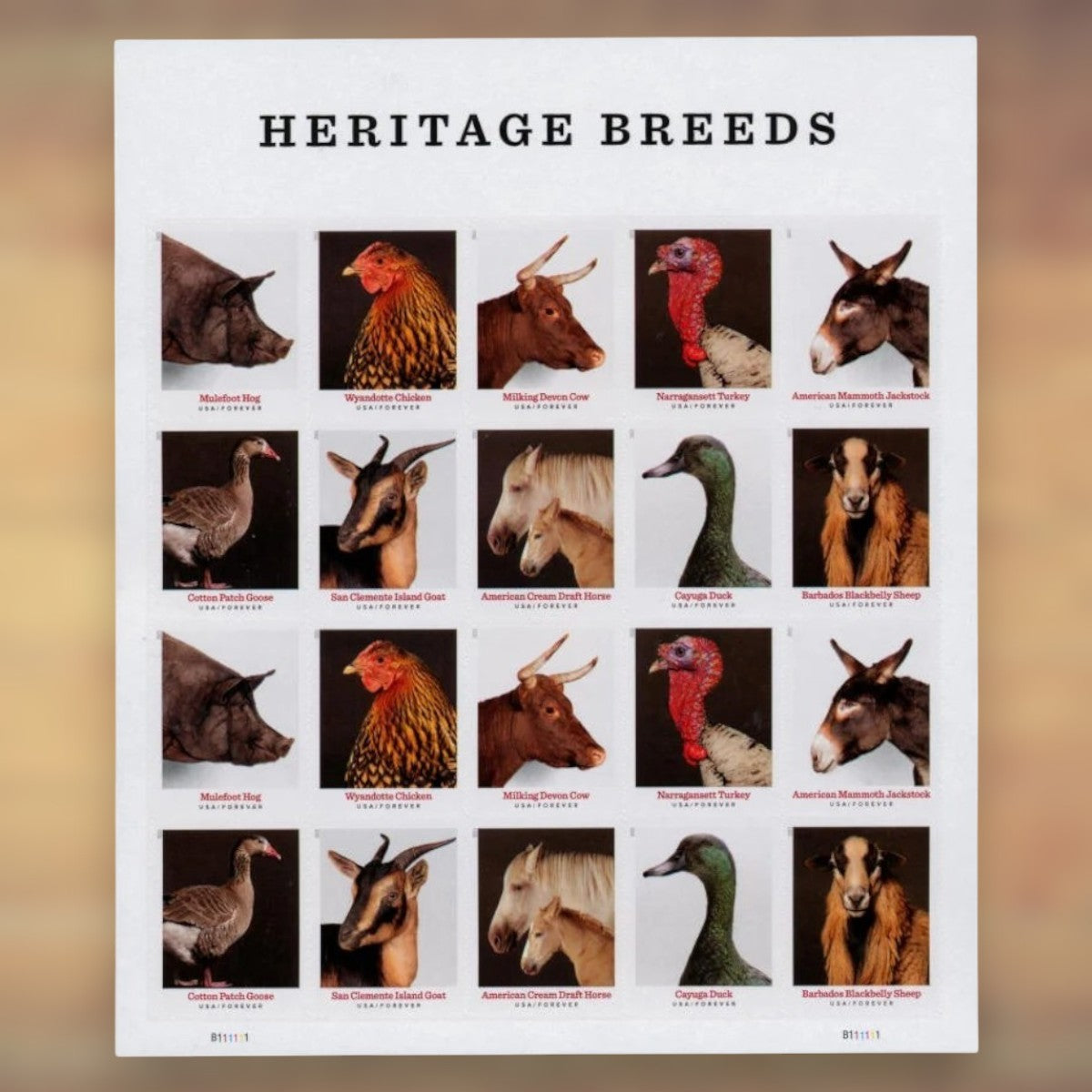 Heritage Breeds Forever Stamps, 2021 Sheet – Cards, Letters and Stamp Collecting