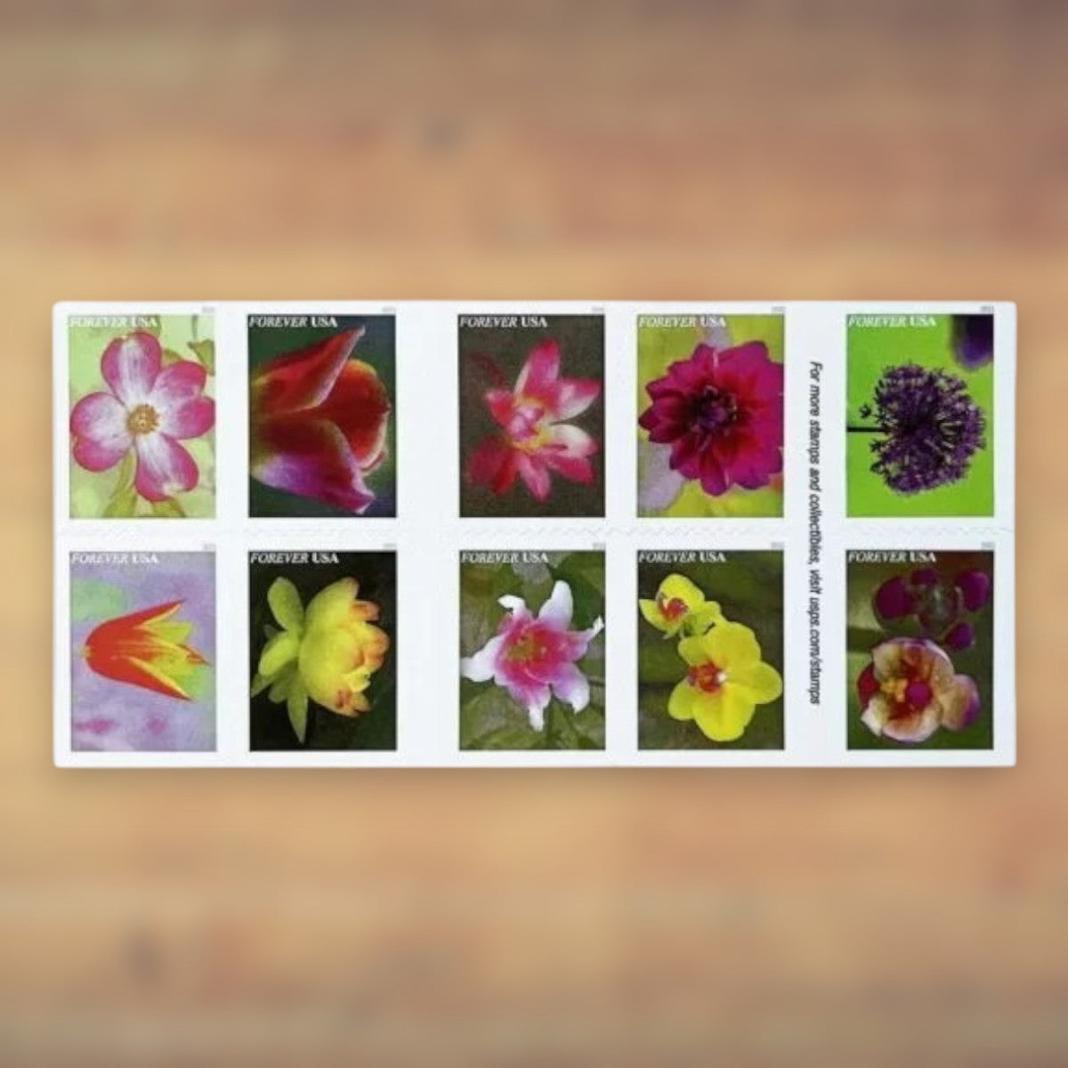 2021 Garden Flowers Forever Postage Stamps Booklet First-Class