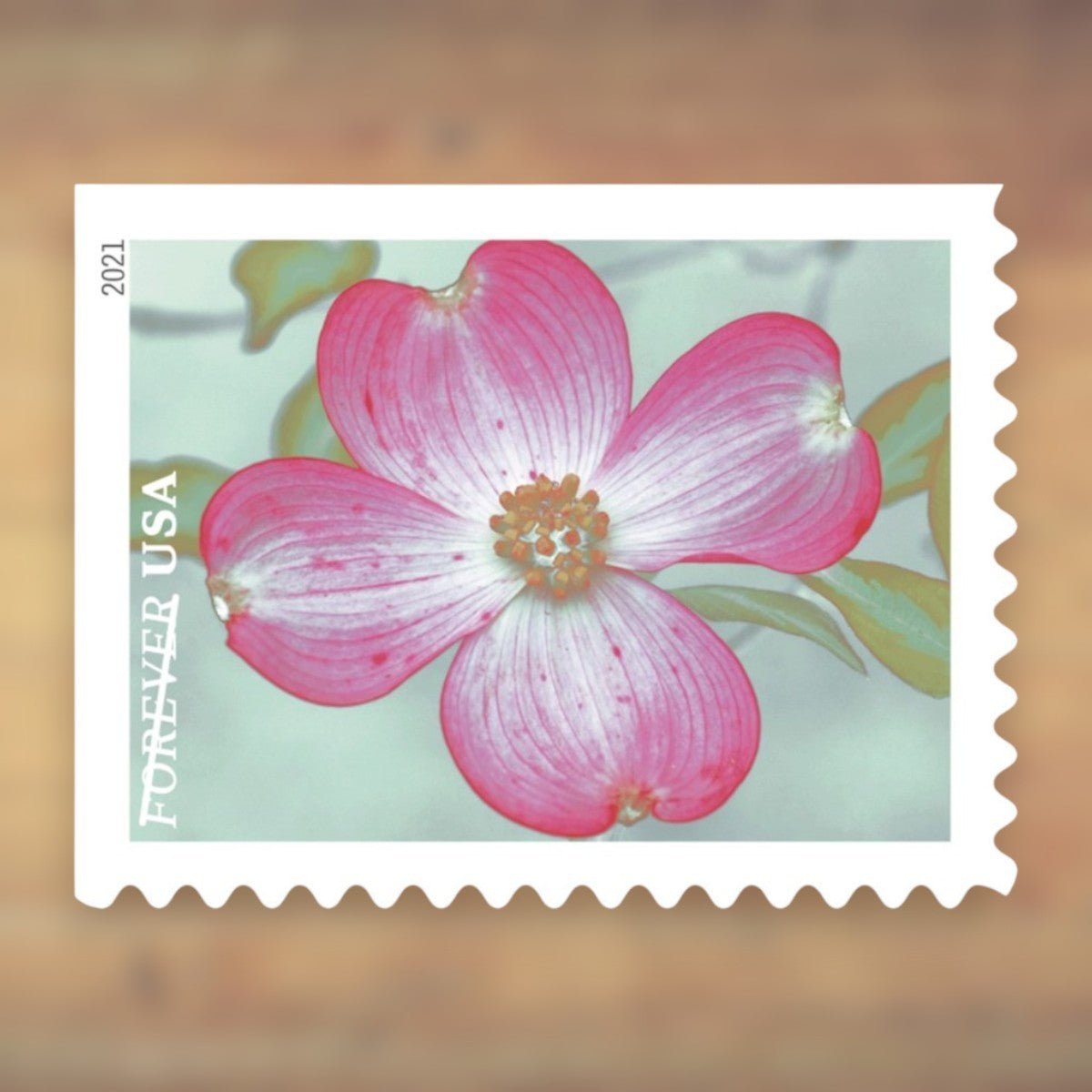 2021 Garden Flowers Forever Postage Stamps Booklet First-Class