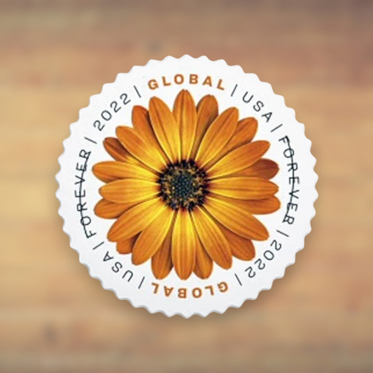 African Daisy Global Forever Stamps, 2022 Sheet – International Mail