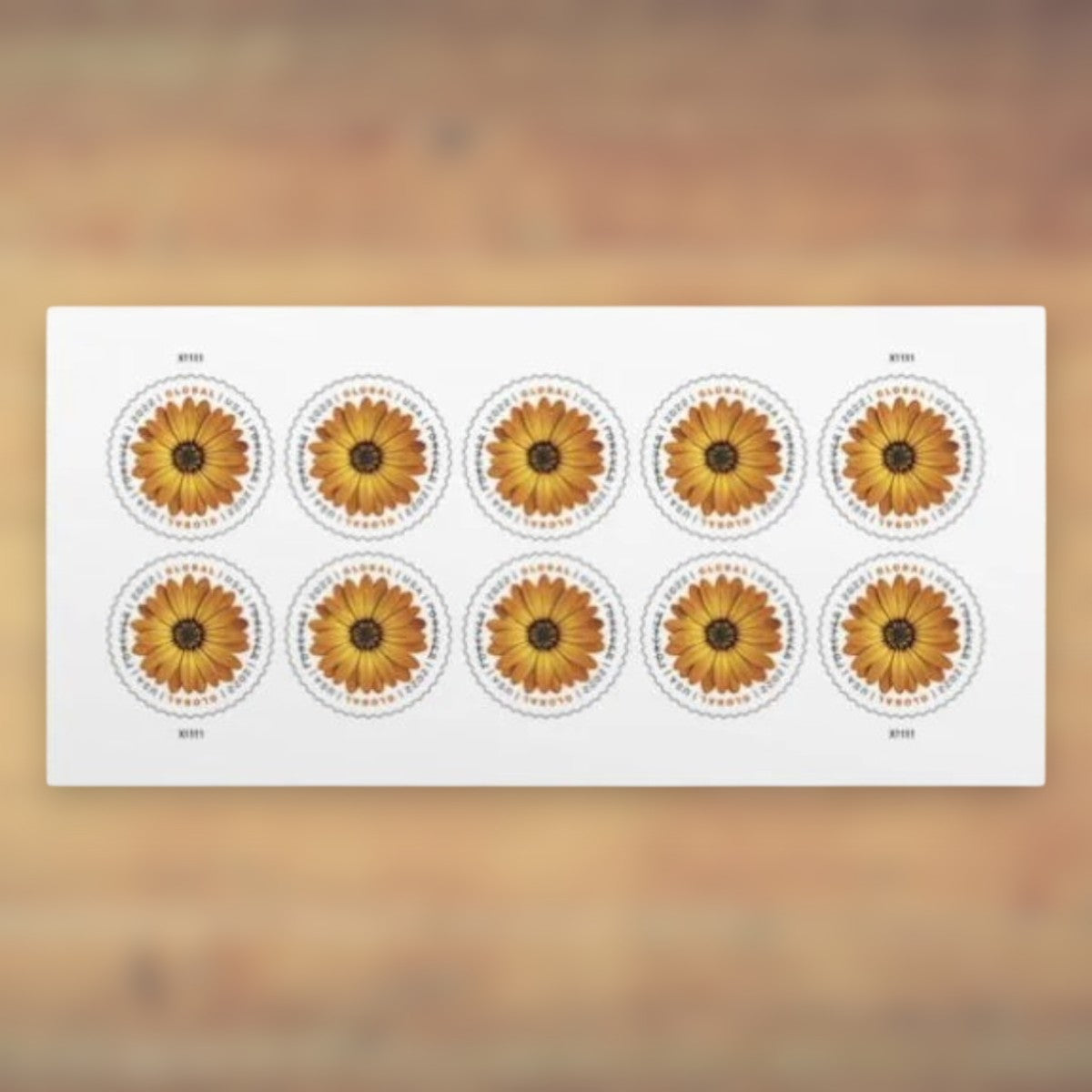 African Daisy Global Forever Stamps, 2022 Sheet – International Mail