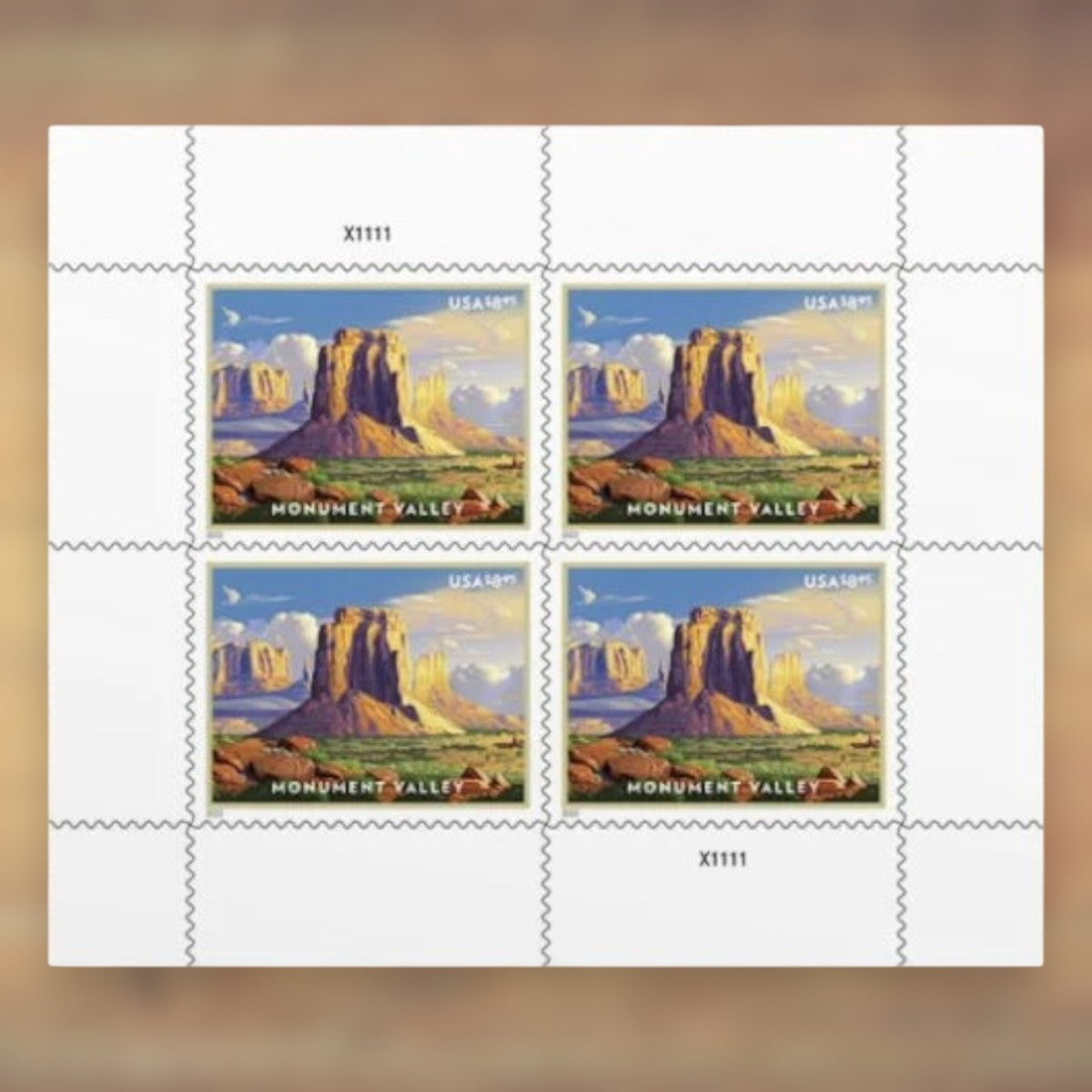 Monument Valley $8.95 Priority Mail Stamps, 2022 Sheet – Priority Mail Postage