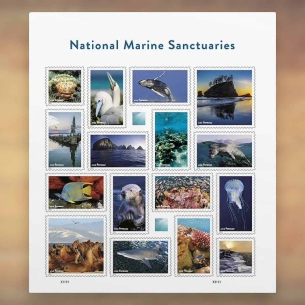 National Marine Sanctuaries Forever Stamps, 2022 Sheet – Cards, Letters and Stamp Collecting