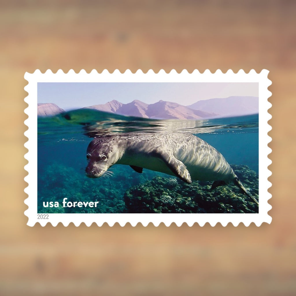 National Marine Sanctuaries Forever Stamps, 2022 Sheet – Cards, Letters and Stamp Collecting