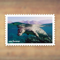 National Marine Sanctuaries Forever Stamps, 2022 Sheet – Cards, Letters and Stamp Collecting