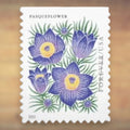 2022 Mountain Flora Forever Postage Stamps Booklet First-Class