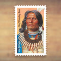 Chief Standing Bear Forever Stamps, 2023 Sheet – Cards, Letters and Stamp Collecting