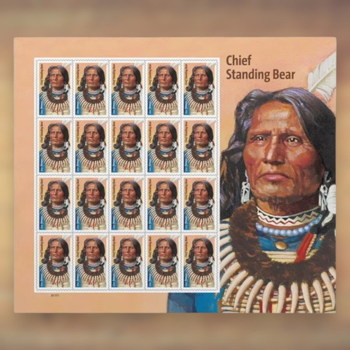 Chief Standing Bear Forever Stamps, 2023 Sheet – Cards, Letters and Stamp Collecting