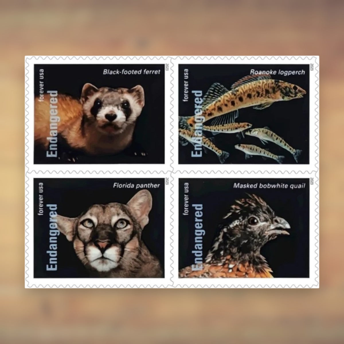 Endangered Species Forever Stamps, 2023 Sheet – Cards, Letters and Stamp Collecting
