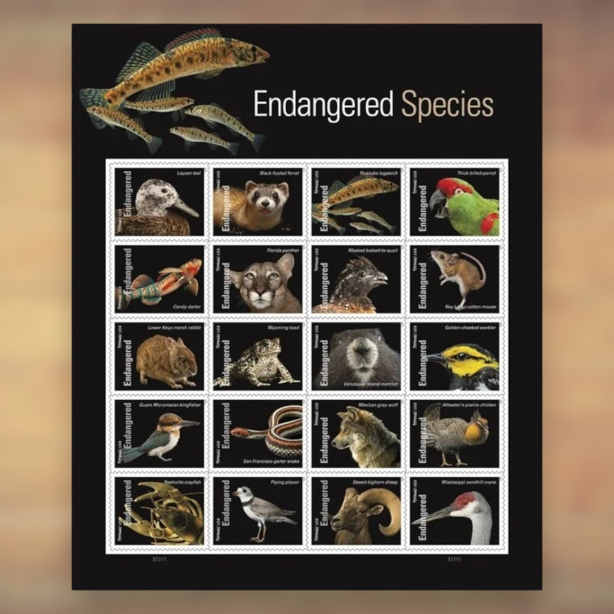Endangered Species Forever Stamps, 2023 Sheet – Cards, Letters and Stamp Collecting