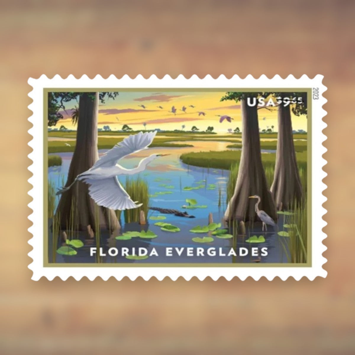 Florida Everglades $9.65 Priority Mail Stamps, 2023 Sheet – Priority Mail Postage