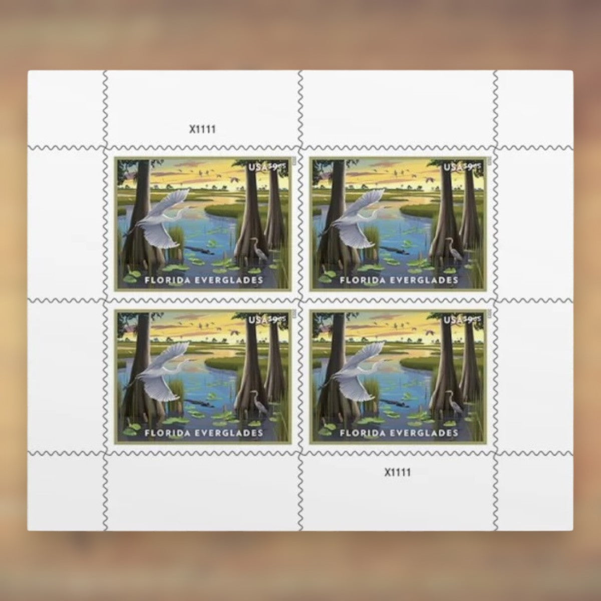 Florida Everglades $9.65 Priority Mail Stamps, 2023 Sheet – Priority Mail Postage