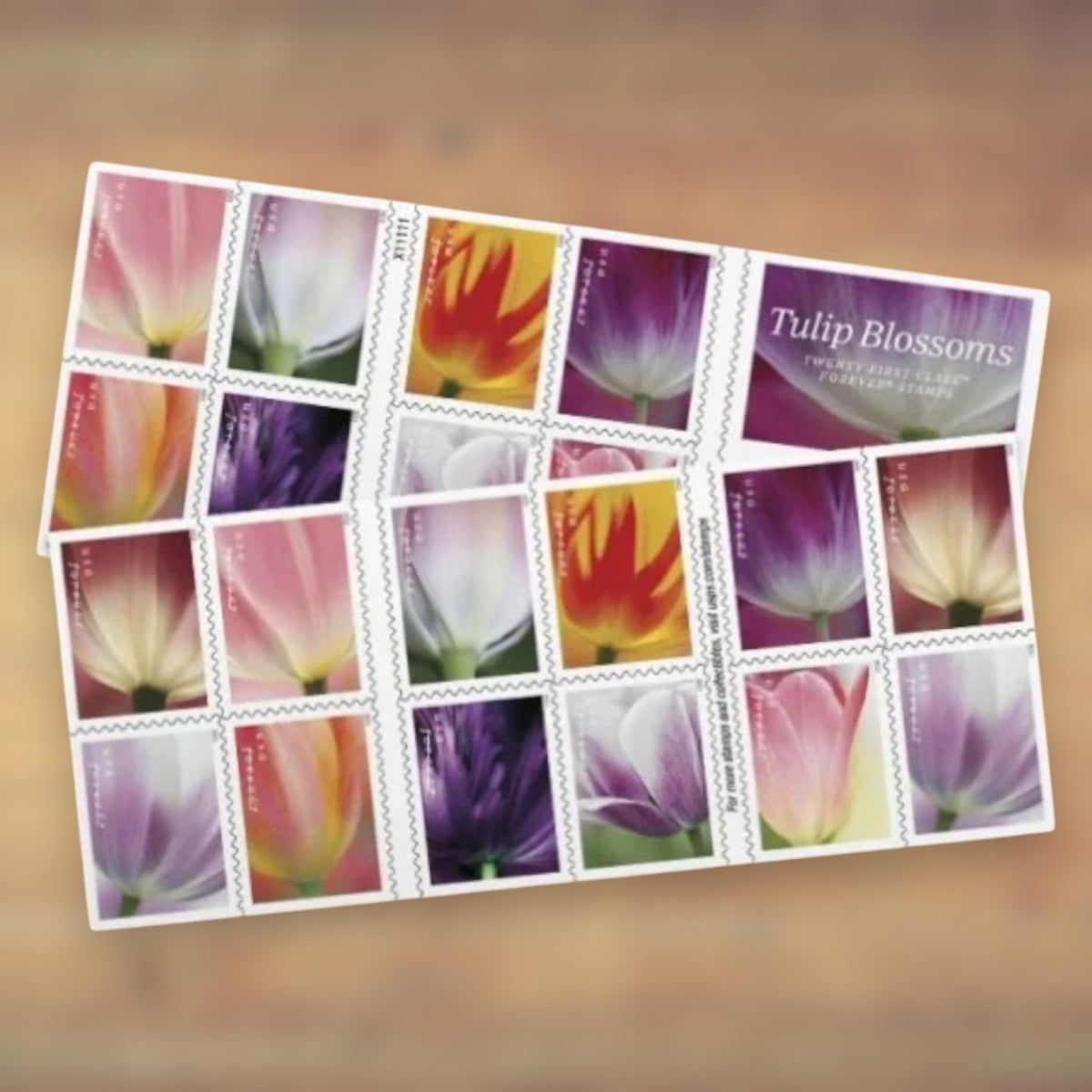 2023 Tulip Blossoms Forever Postage Stamps Booklet First-Class