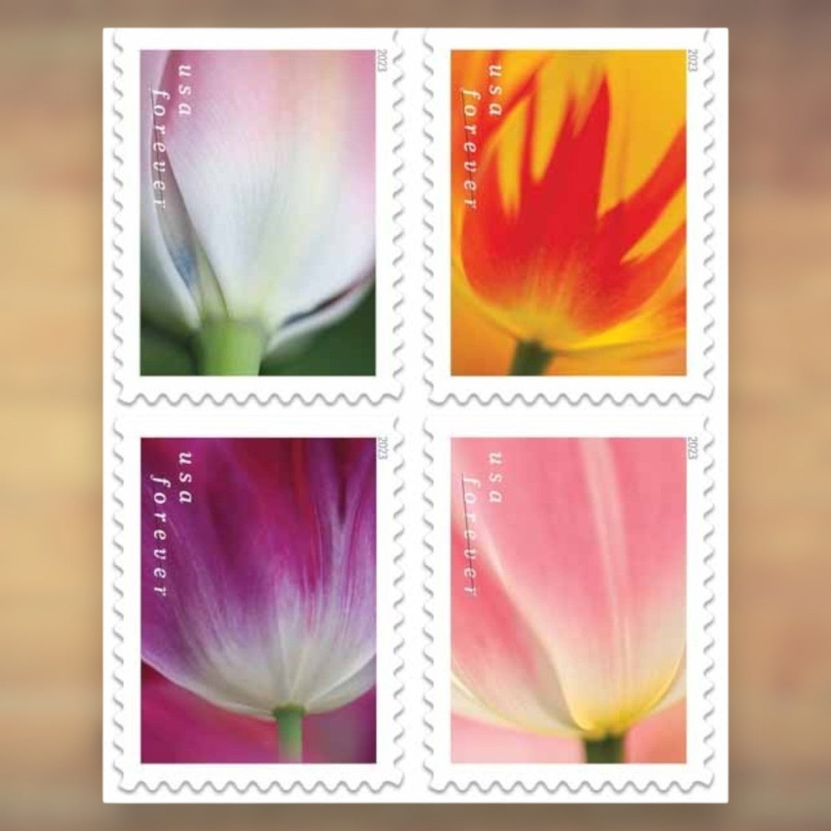 2023 Tulip Blossoms Forever Postage Stamps Booklet First-Class