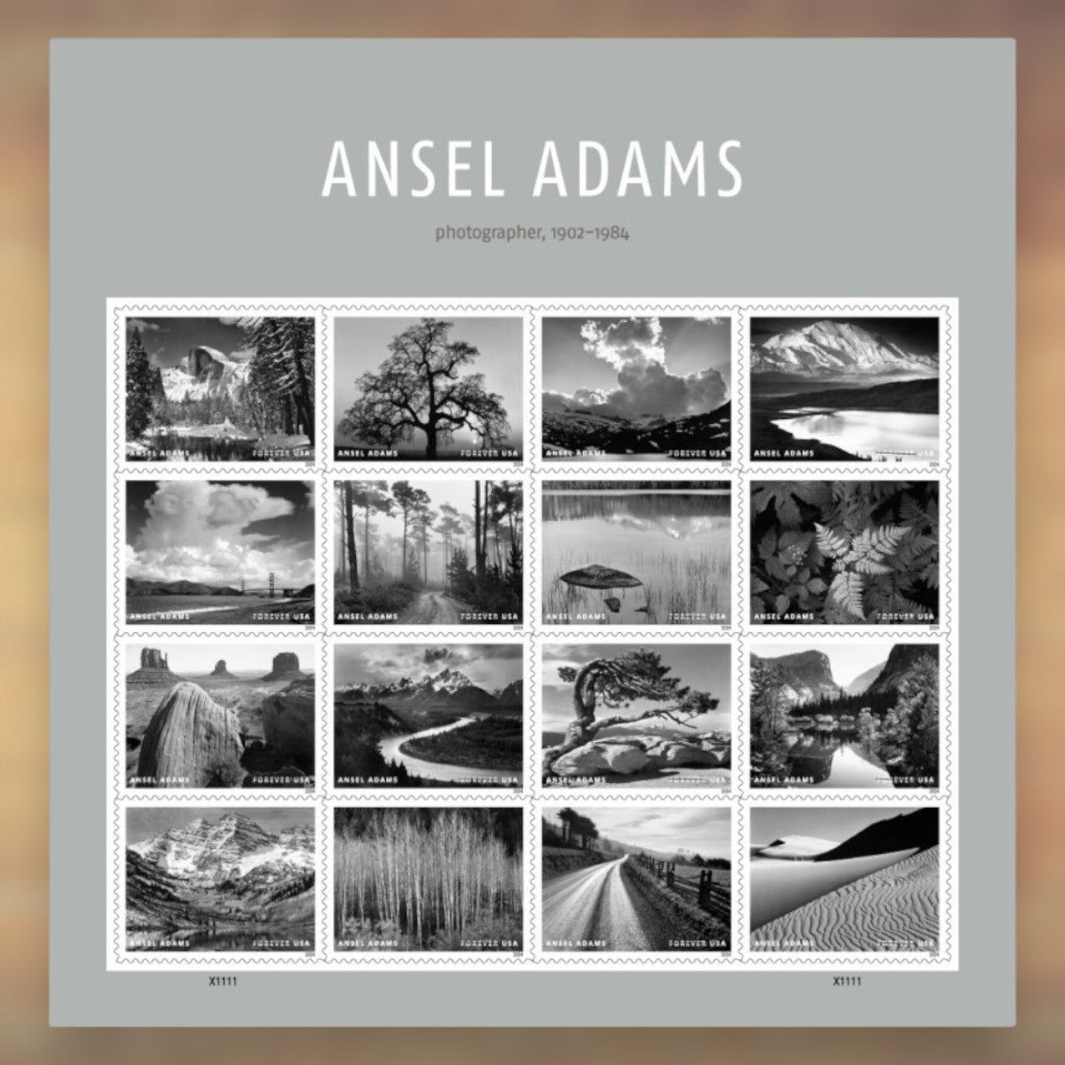 Ansel Adams Forever Stamps, 2024 Sheet – Cards, Letters and Stamp Collecting