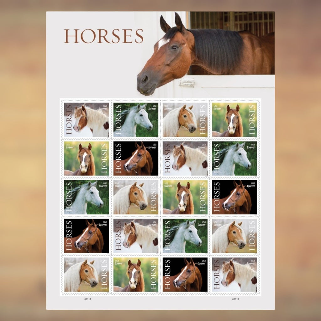 Horses Forever Stamps, 2024 Sheet – Greeting Cards and Letters