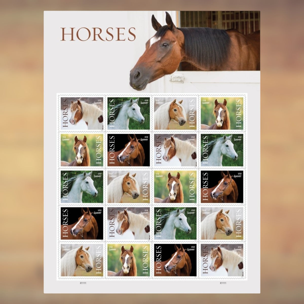Horses Forever Stamps, 2024 Sheet – Greeting Cards and Letters