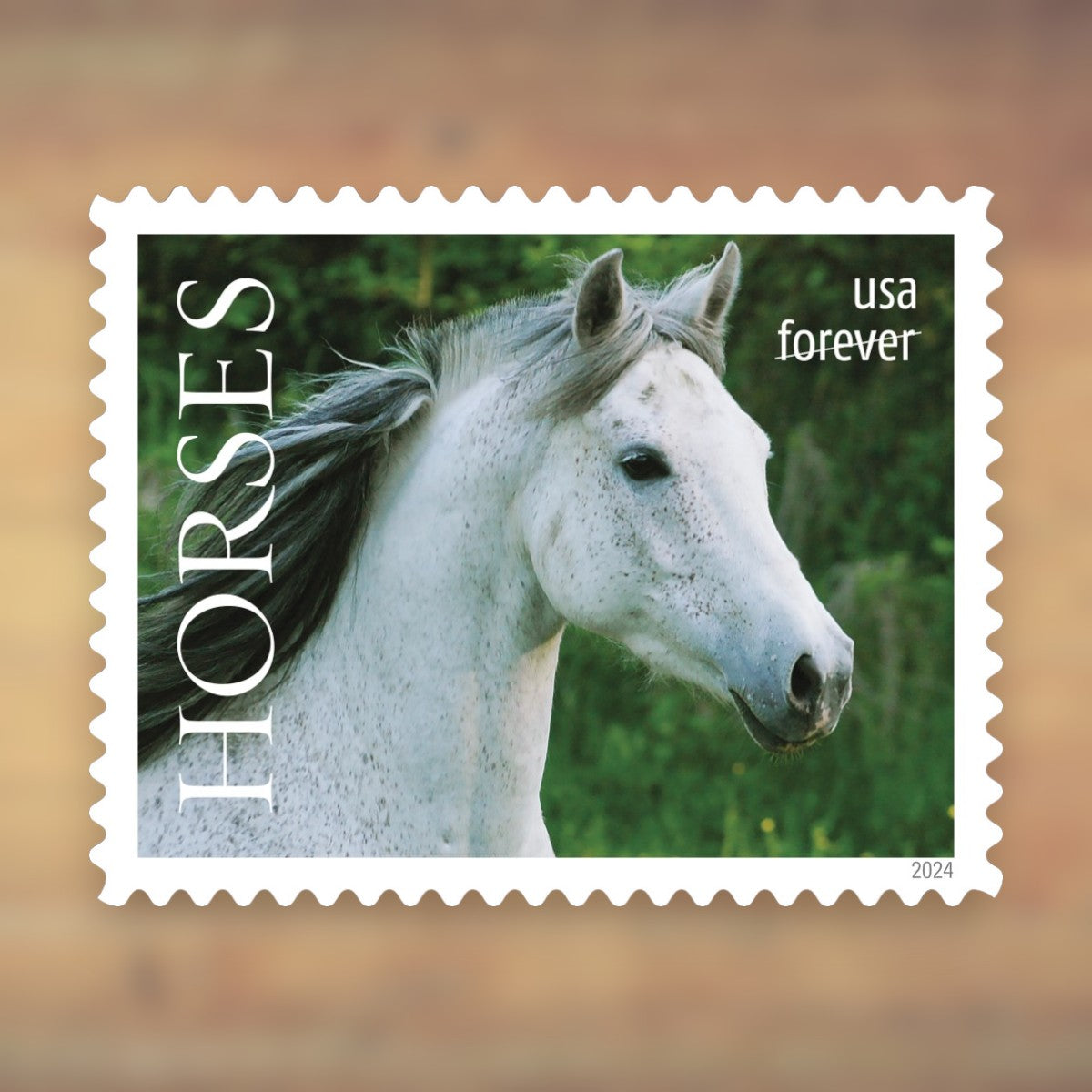 Horses Forever Stamps, 2024 Sheet – Greeting Cards and Letters