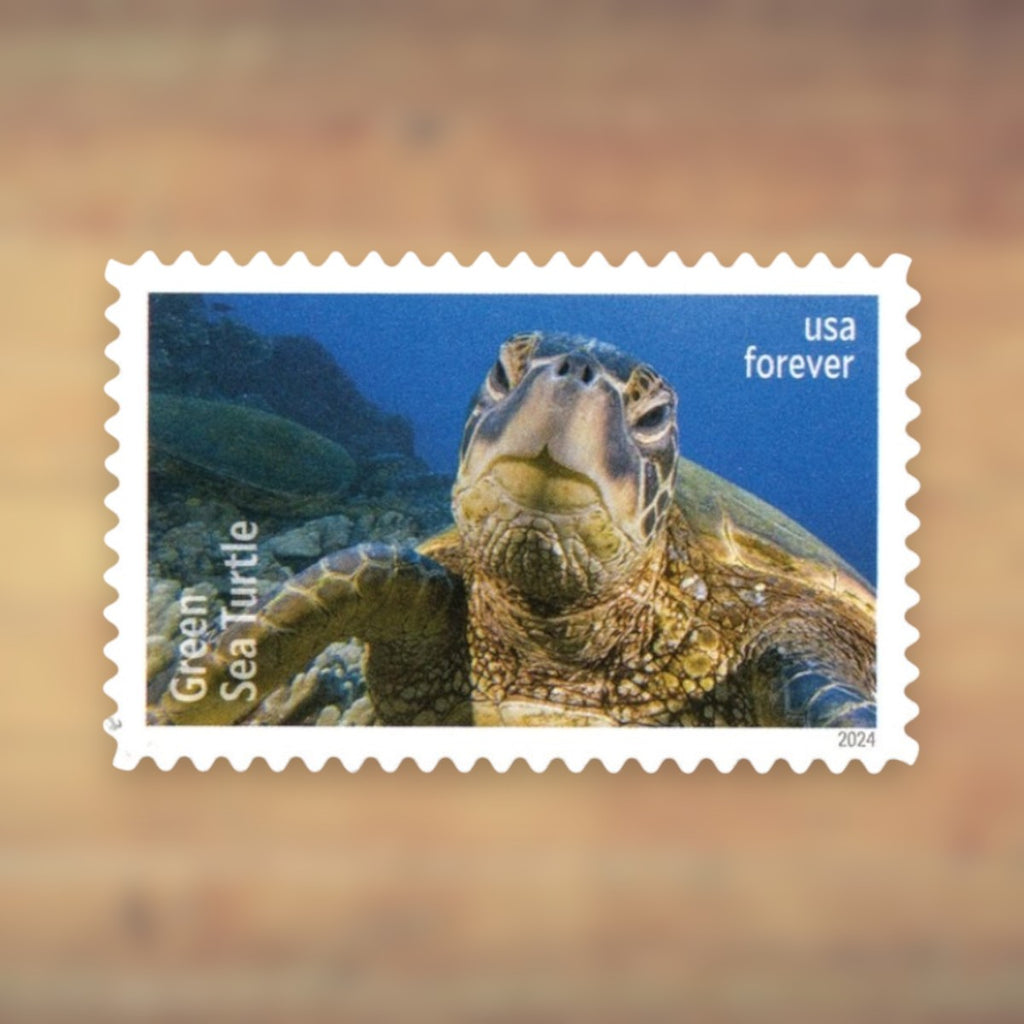 Protect Sea Turtles Forever Stamps, 2024 Sheet – Cards, Letters and Stamp Collecting